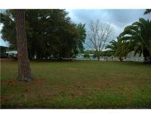 W Cove Dr., Tavares, FL 32778