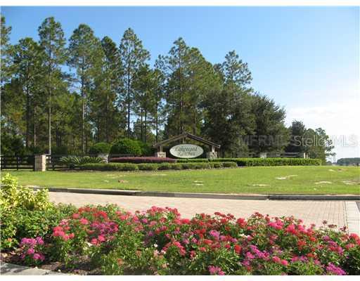 Lake Seneca Rd., Eustis, FL 32736