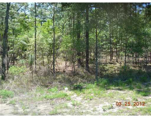 Cr 243, Wildwood, FL 34785