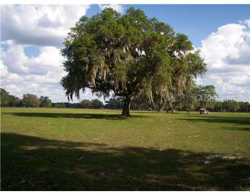 Sr 50, Webster, FL 33597