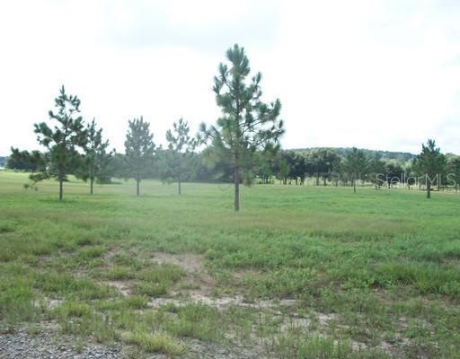 Lot 10 Ranch Club Blvd., Groveland, FL 34736