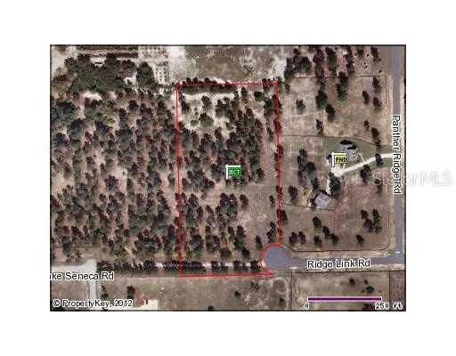 Lake Seneca Rd., Eustis, FL 32736