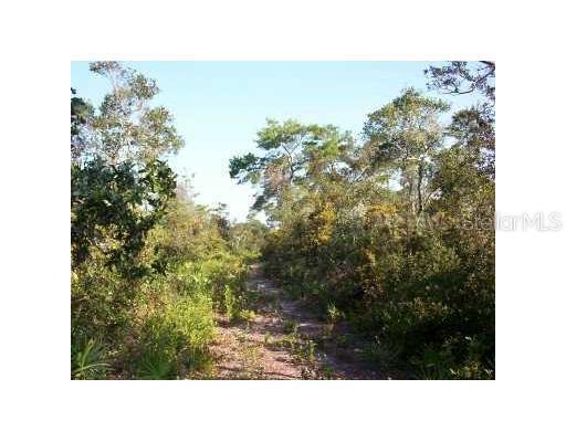 Spruce Dr., Eustis, FL 32736