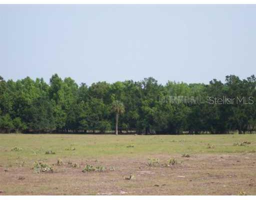 Shirley Shores Rd., Tavares, FL 32778