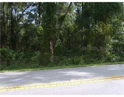 Cr 673, Webster, FL 33597