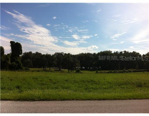Calle De Flores Drive, Clermont, FL 34711