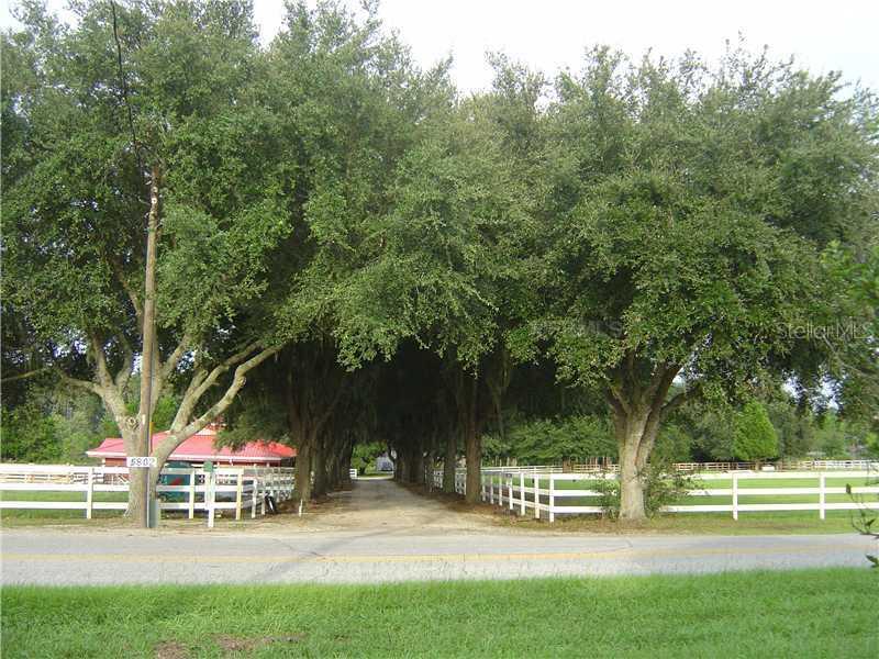 5802 Empire Church Rd., Groveland, FL 34736