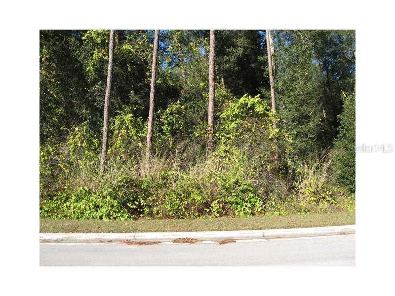 6602 Sinisi Dr., Mount Dora, FL 32757