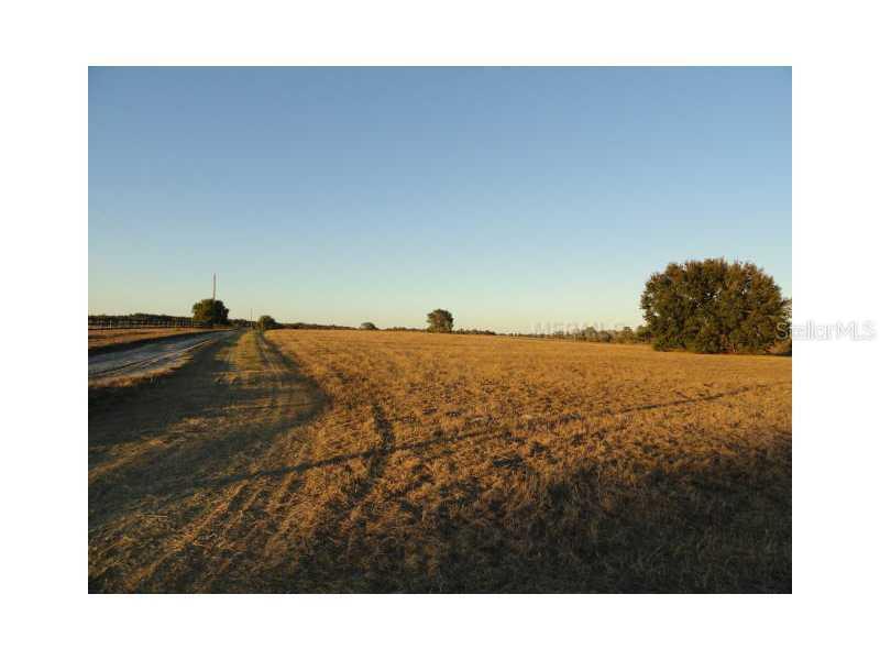 Sharon (k&t) Rd., Groveland, FL 34736
