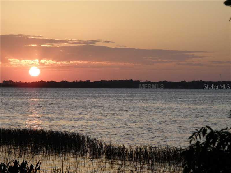1221 Natureland Ct., Mount Dora, FL 32757