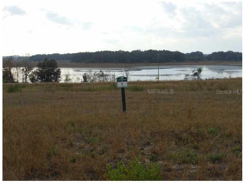 Lot 1 Savannah Ridge Ln., Winter Garden, FL 34787