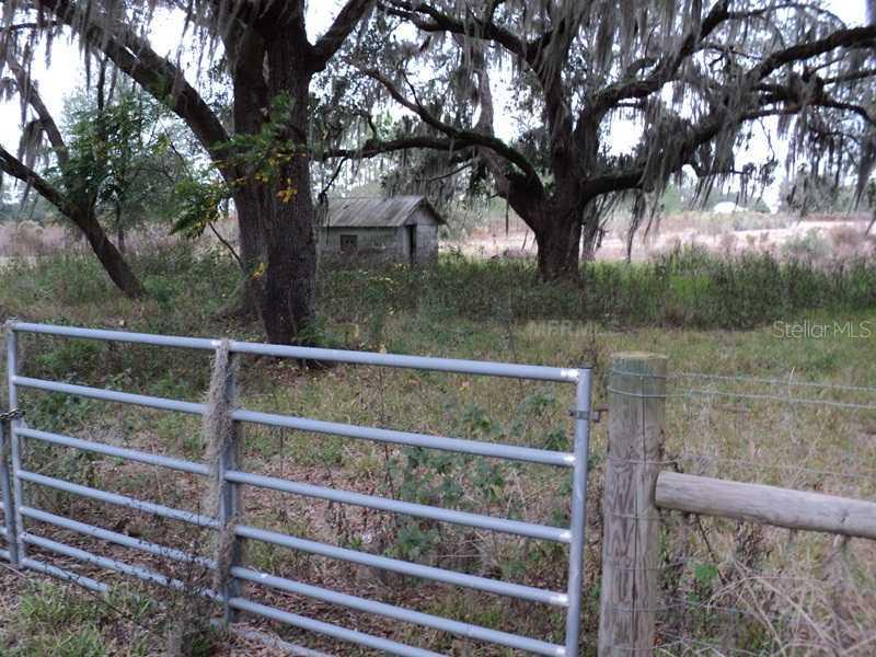 2515 Sloans Ridge Rd., Groveland, FL 34736