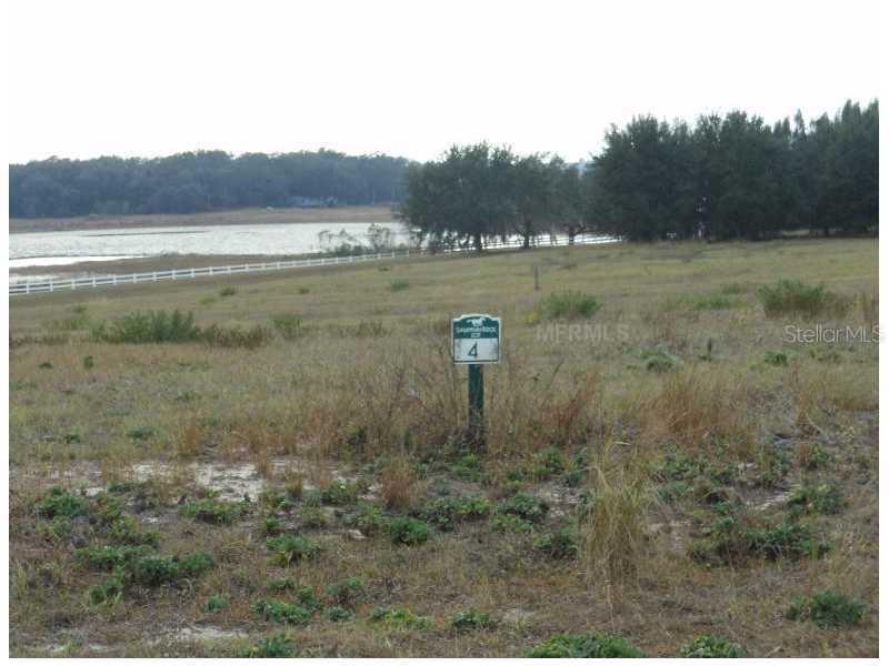 Lot 4 Savannah Ridge Ln., Winter Garden, FL 34787