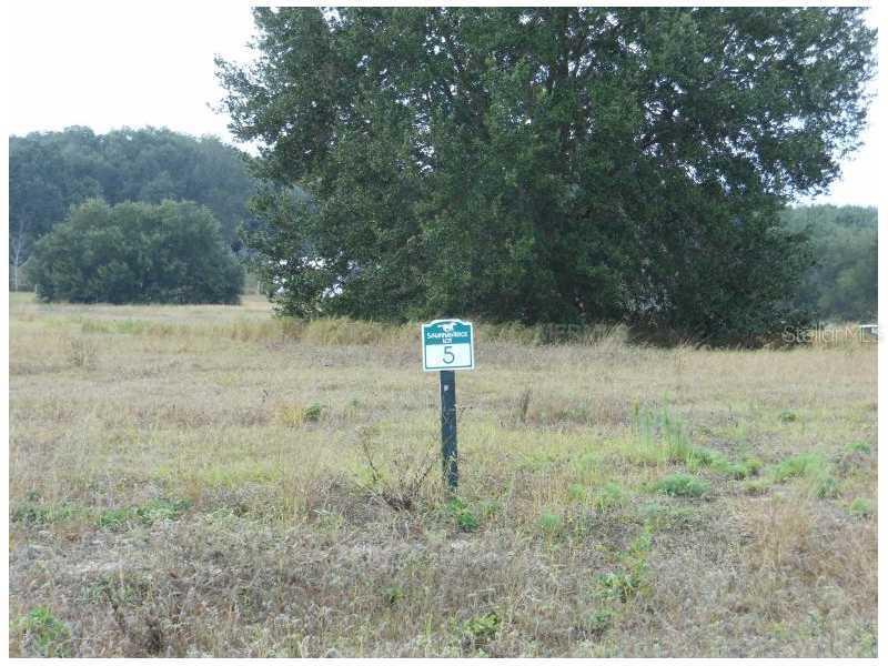 Lot 5 Savannah Ridge Ln., Winter Garden, FL 34787