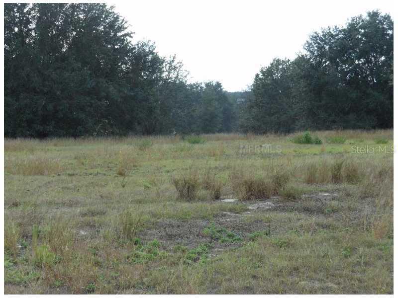 Lot 8 Savannah Ridge Ln., Winter Garden, FL 34787