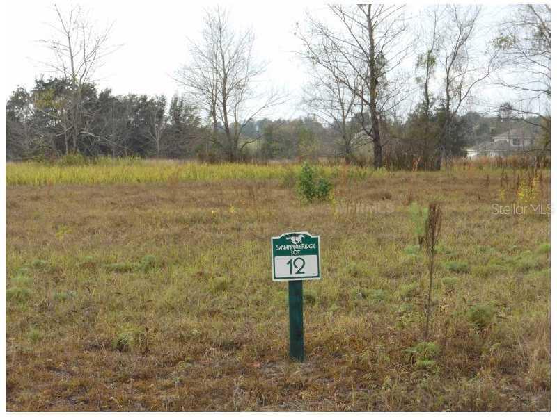 Lot 12 Savannah Ridge Ln., Winter Garden, FL 34787