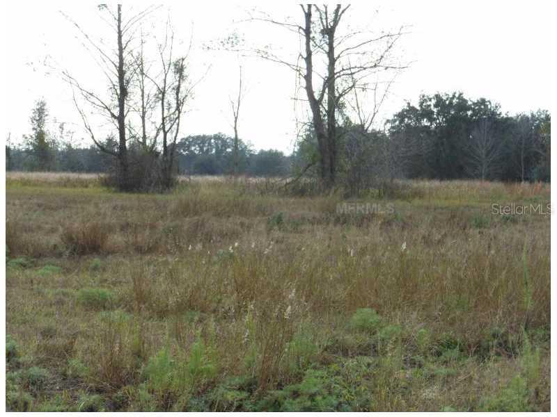 Lot 13 Savannah Ridge Ln., Winter Garden, FL 34787