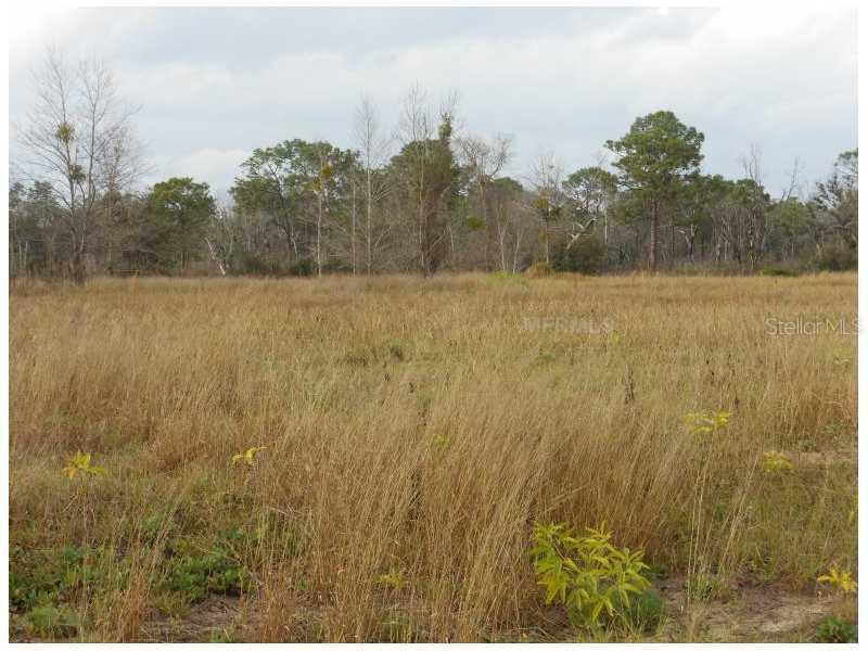 Lot 14 Savannah Ridge Ln., Winter Garden, FL 34787