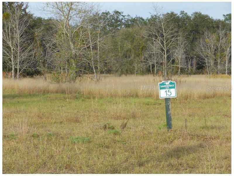 Lot 15 Savannah Ridge Ln., Winter Garden, FL 34787
