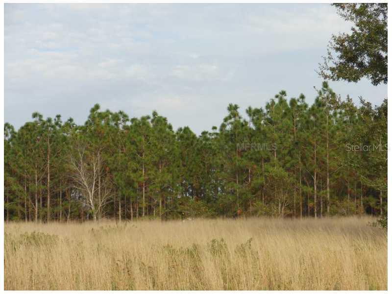 Lot 24 Savannah Ridge Ln., Winter Garden, FL 34787