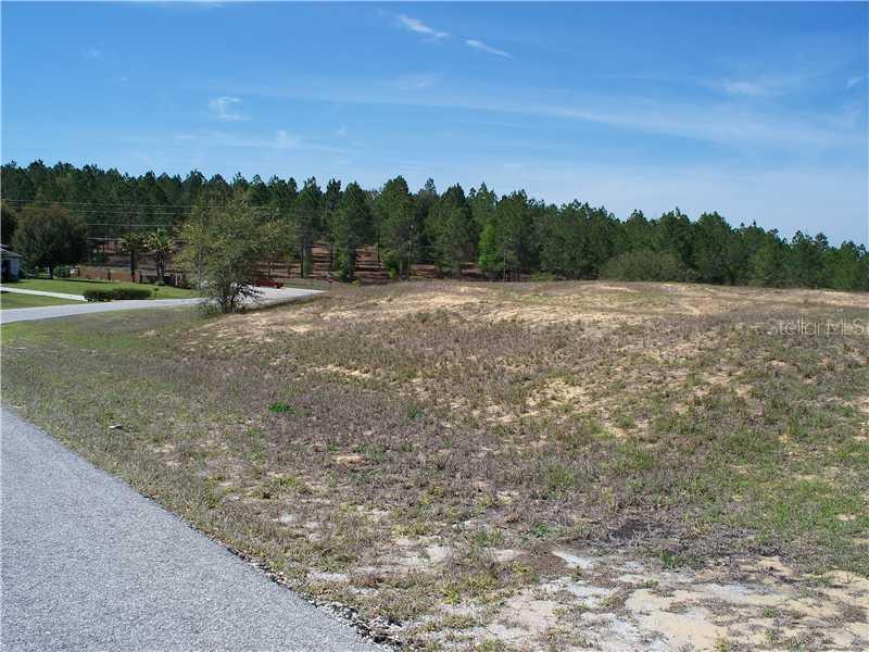 Cynthia Ln Lot 36, Clermont, FL 34711