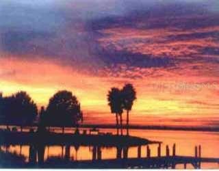601 Mcdonald St. #2, Mount Dora, FL 32757