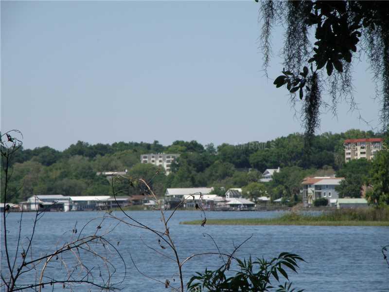 1200 Natureland Ct., Mount Dora, FL 32757