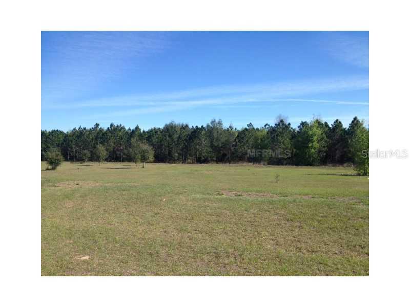Great Blue Heron Dr., Groveland, FL 34736