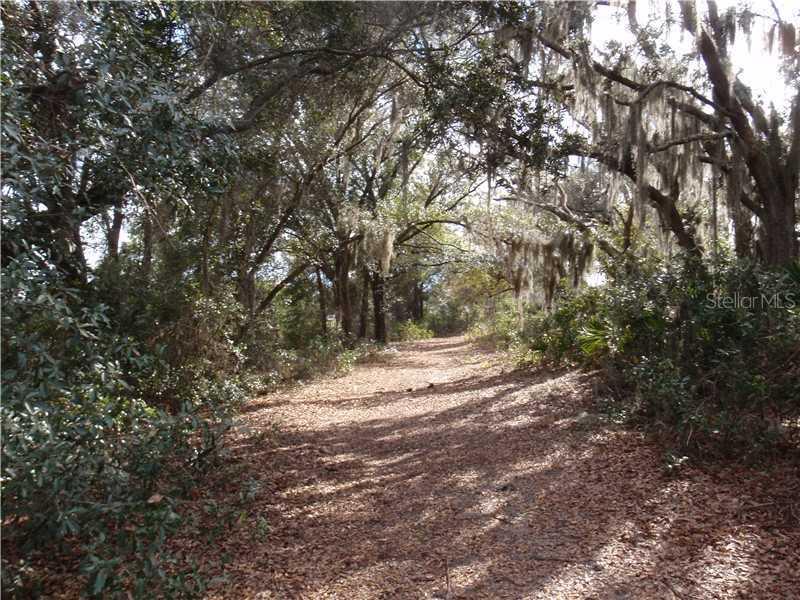 Marsh View Ct., Clermont, FL 34711