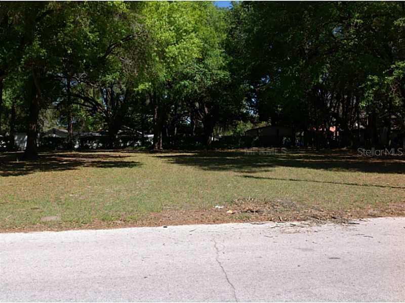 Warfield Street, Wildwood, FL 34785