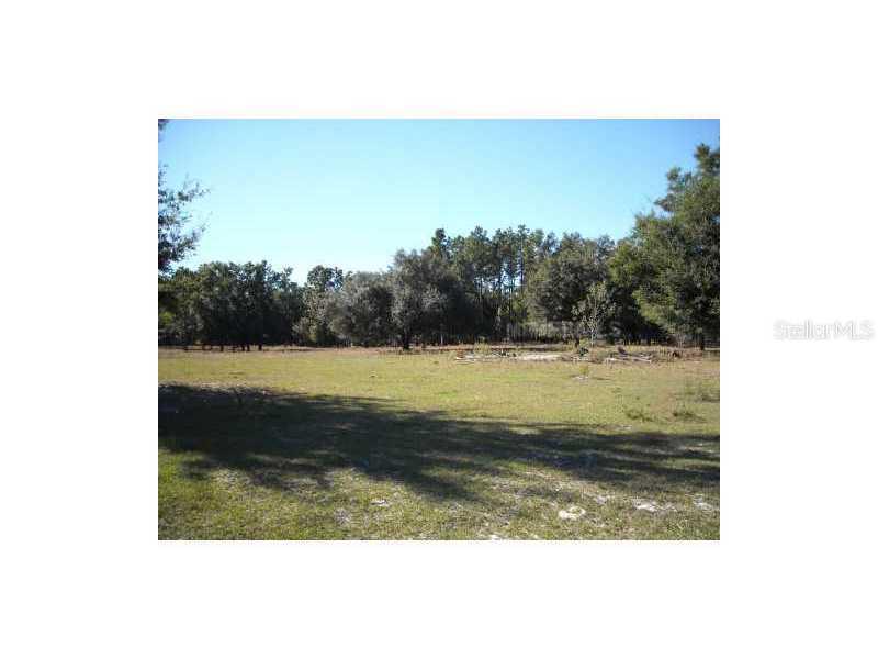 Ne 23rd Ave. Ave., Wildwood, FL 33513