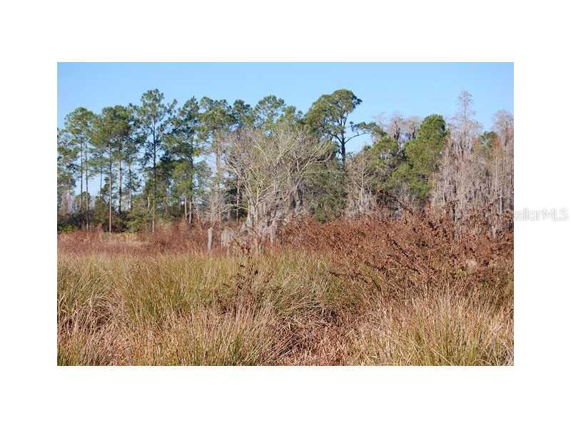 2204 Shady Ln., Groveland, FL 34736