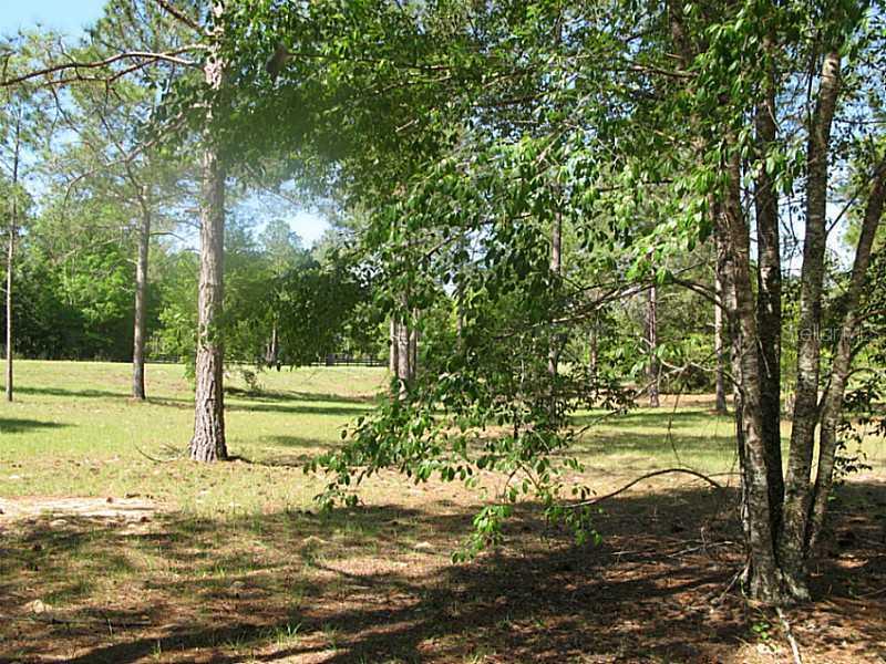 High Pines Dr., Eustis, FL 32736