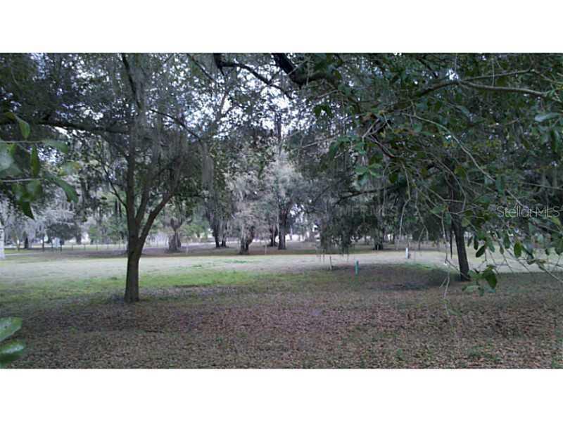 Barwick Street, Wildwood, FL 34785