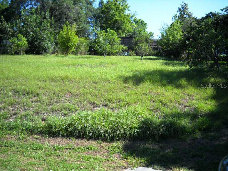 Buena Vista Dr., Eustis, FL 32726