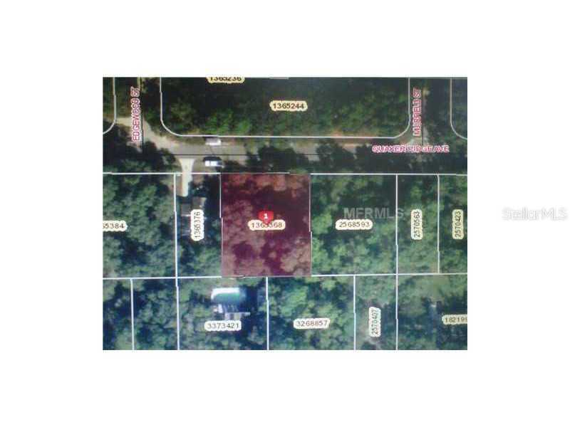 Quaker Ridge Ave., Sorrento, FL 32776