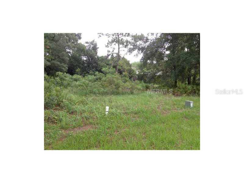 Stacey Dr., Mount Dora, FL 32757