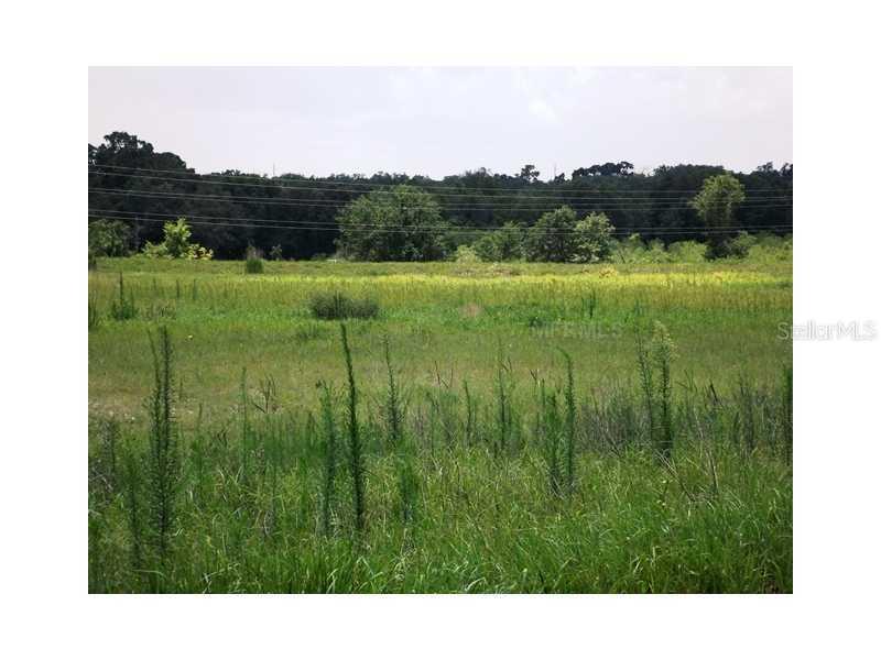 1703 Lot # 8 Talley Box Rd., Leesburg, FL 34748
