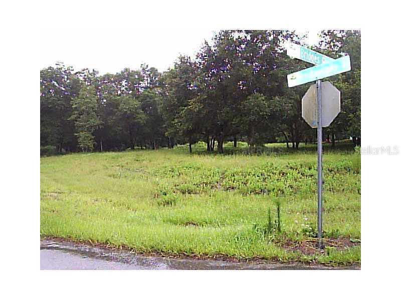 Bridges Glen Ln., Clermont, FL 34711