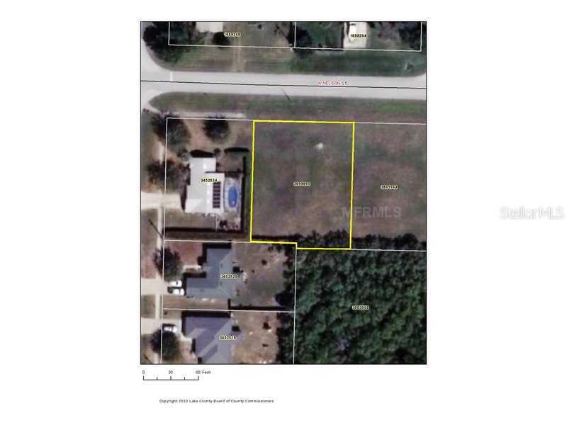 Nelson Street, Tavares, FL 32778