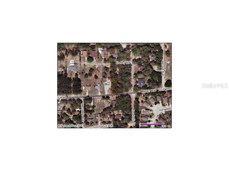 Adair Ave., Sorrento, FL 32776