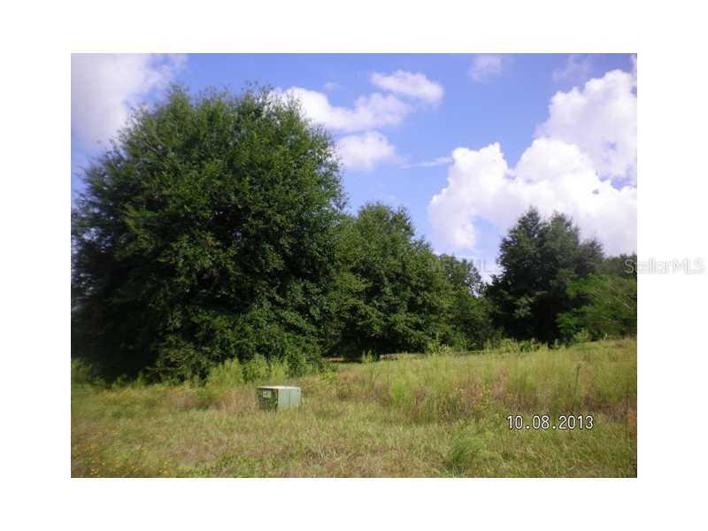 Ridge Run Dr., Clermont, FL 34711