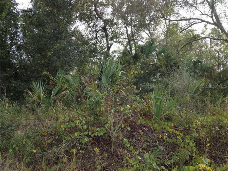 County Road 44a, Eustis, FL 32736