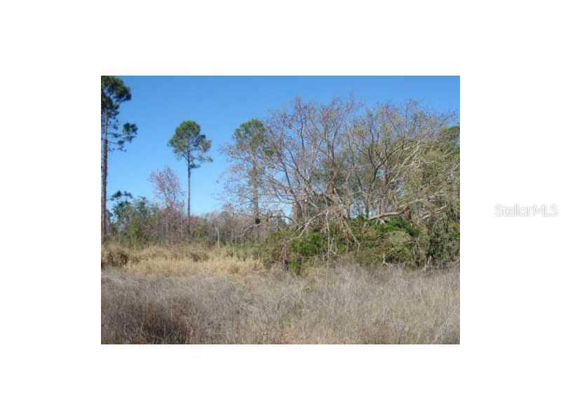 Off Sr 50, Clermont, FL 34711