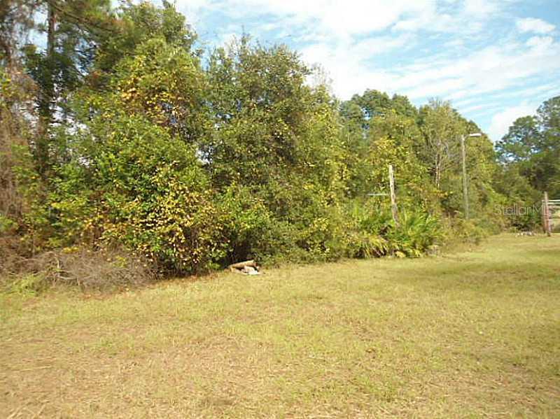 30842 Nocatee Tr., Sorrento, FL 32776