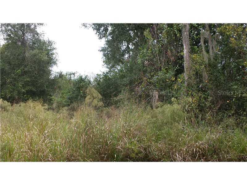 15715 Trousdale St., Clermont, FL 34715