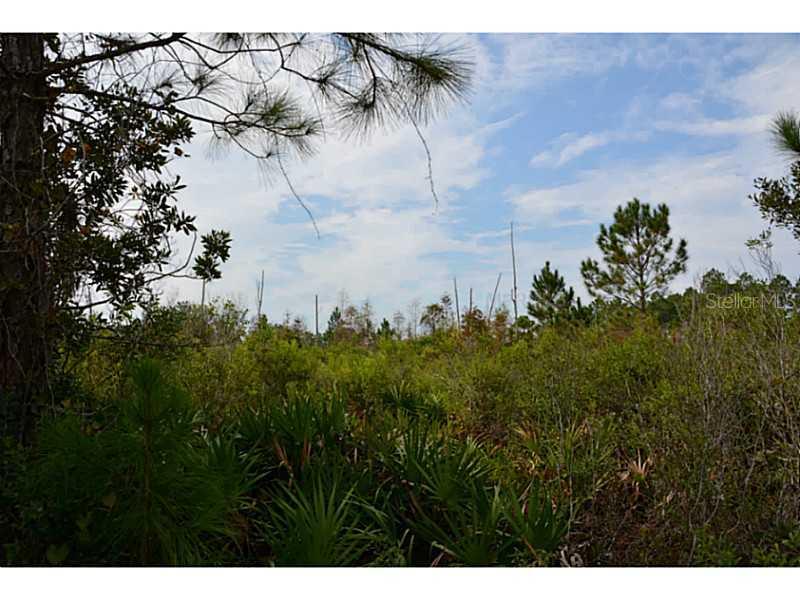 Salyers, Clermont, FL 34711