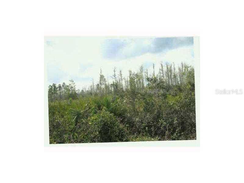 Salyers, Clermont, FL 34711