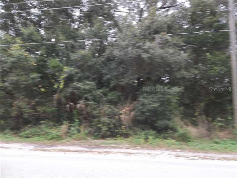 Sackamaxon Dr., Sorrento, FL 32776