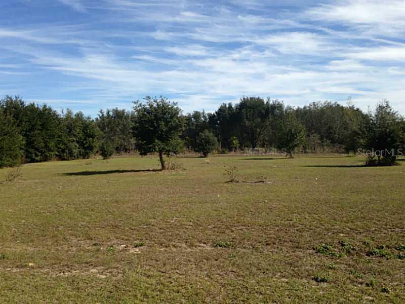 Lot 29 Great Blue Heron, Groveland, FL 34736